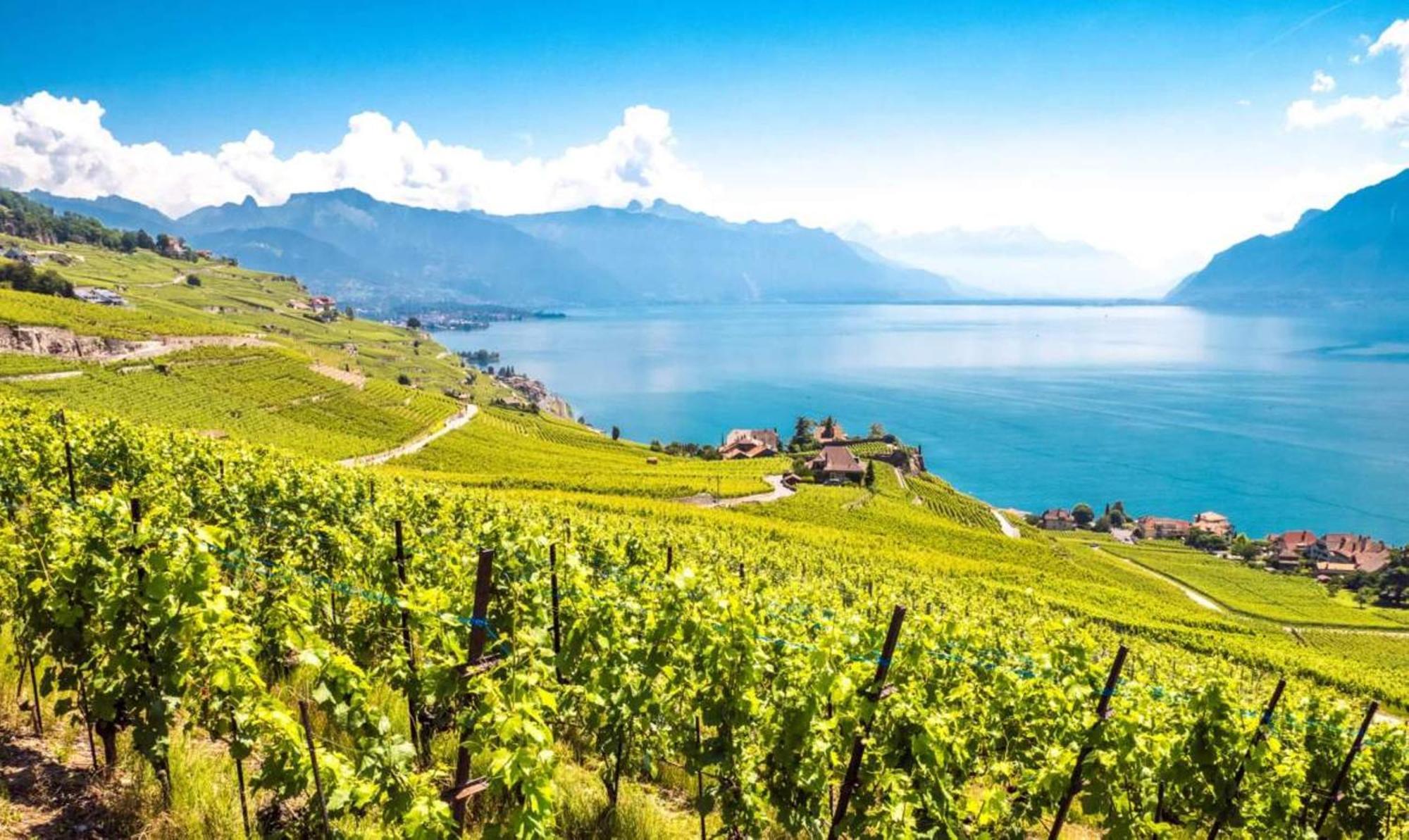 Chatonneyre Hotel & Restaurant Vevey Exterior photo